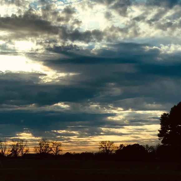 Meet your Posher, Dillon - Picture 1 of 1